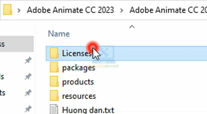 Animate CC 2023