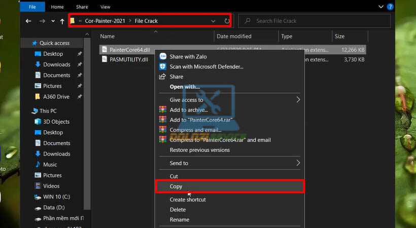 Hướng Dẫn Cài Đặt Corel Painter 2021 - Tải Ngay Tại Đây!