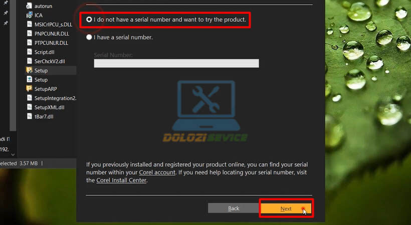Thiết lập tùy chọn