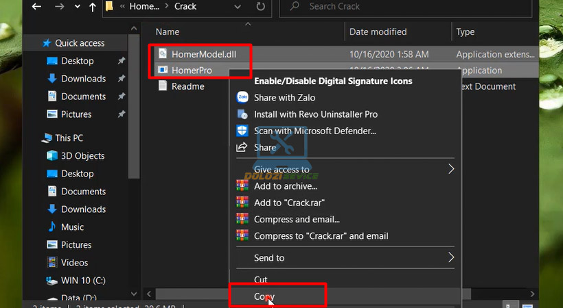 Download Homer Pro 3