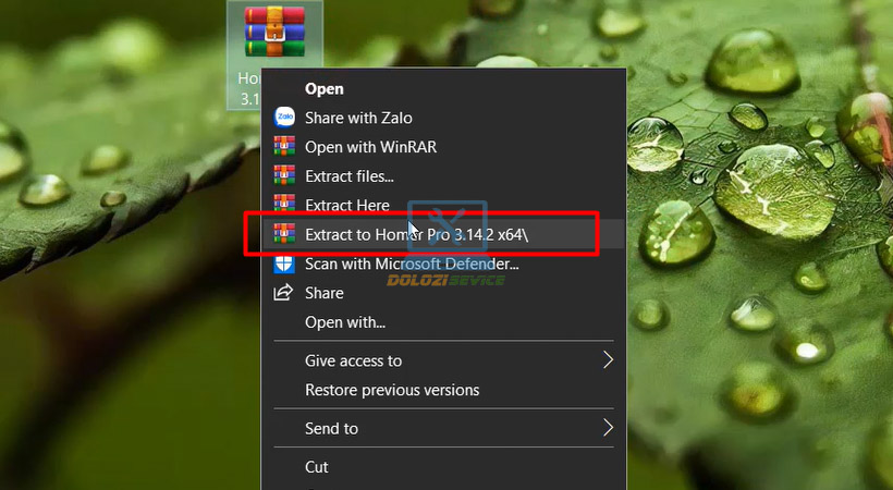 Download Homer Pro 3