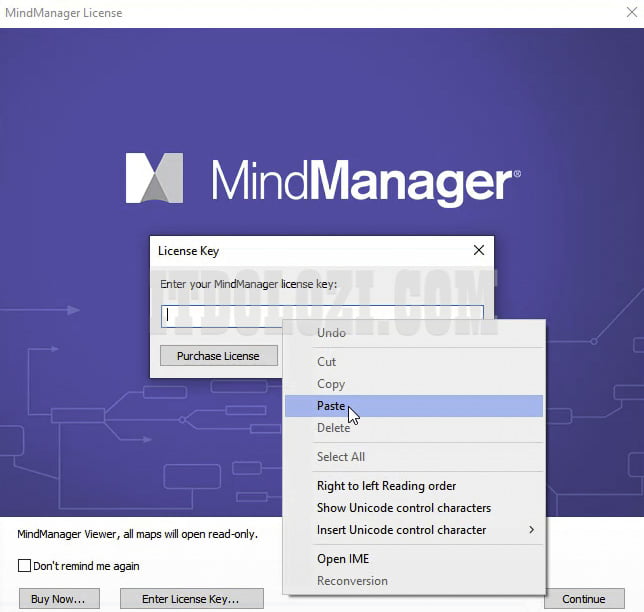 Hướng dẫn cài đặt và tải MindManager 2020 dễ dàng 13 Dán Key kích hoạt vào phần mềm