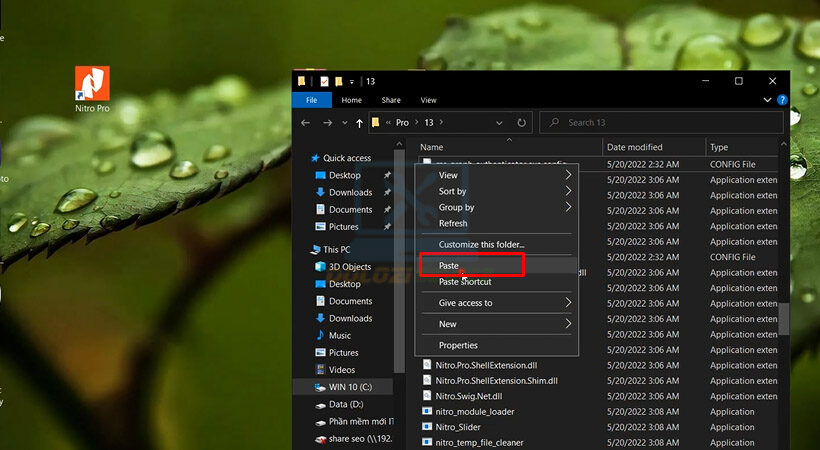 Hướng Dẫn Cài Đặt và Tải Nitro Pro Enterprise 21 Miễn Phí 9 Dán file bản quyền Nitro Pro Enterprise 21