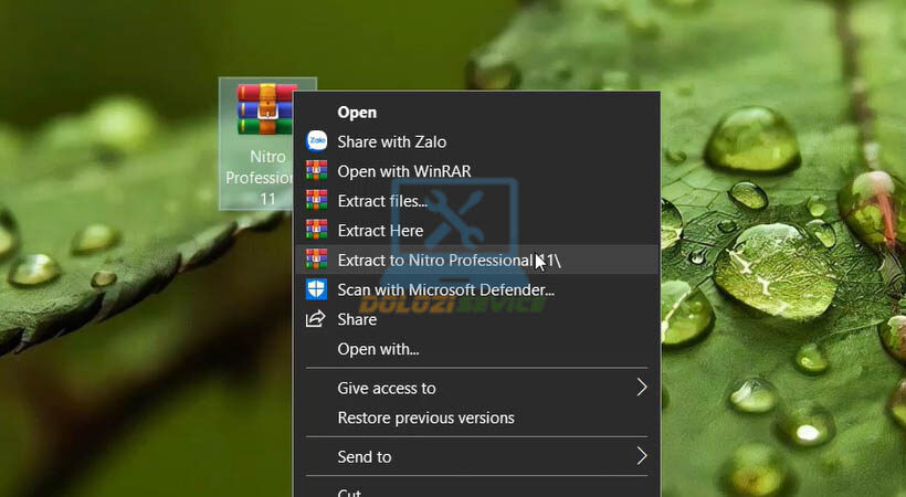 Nitro Professional 11