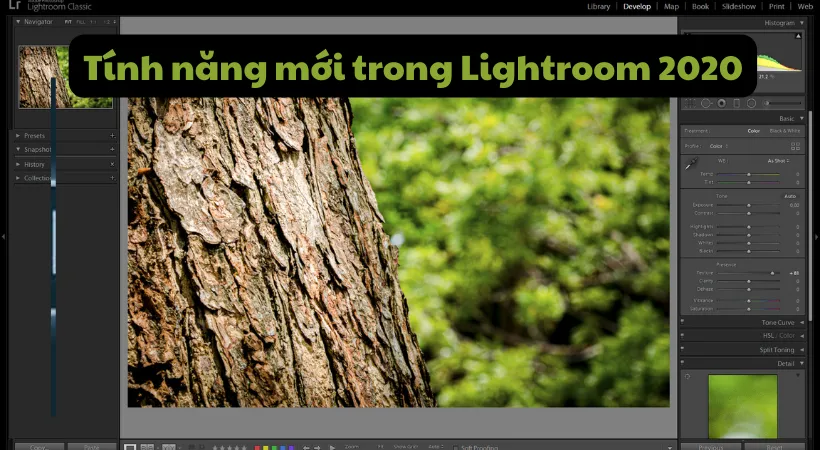 Tính năng mới trong Adobe Lightroom CC 2020