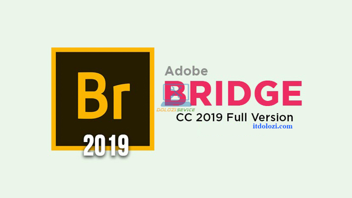 Hướng dẫn cài đặt Bridge 2019 Full Crack